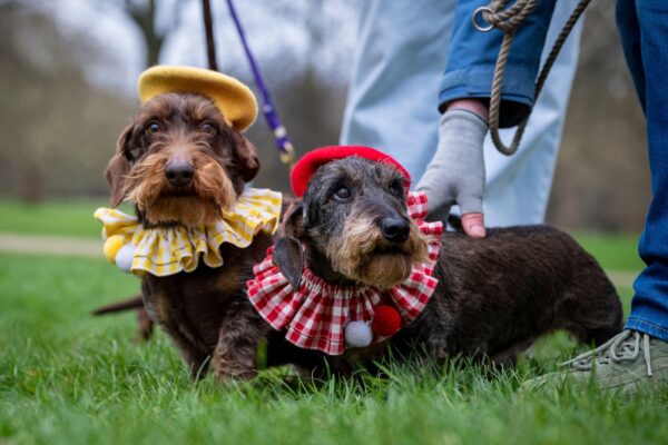 3E4RP1K Alamy Stock Photo