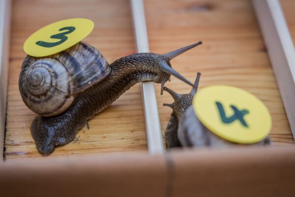 3E9J3YH Alamy Stock Photo