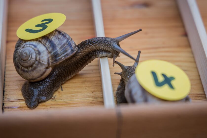 3E9J3YH Alamy Stock Photo