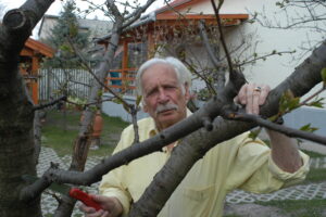 Bálint gazda Diósi Imre